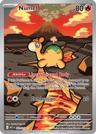 Numel 223/217  - Holofoil ME Ascended Heroes - Illustration Rare