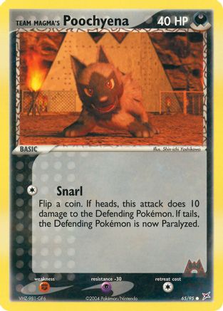 Team Magma's Poochyena - 65/95/95  Team Magma vs Team Aqua - Common