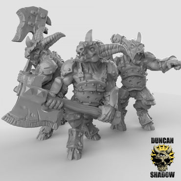 Duncan Shadow - Beastmen in armor 3-pack