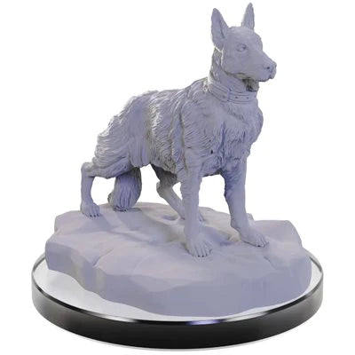 Wizkids: Dog Companions