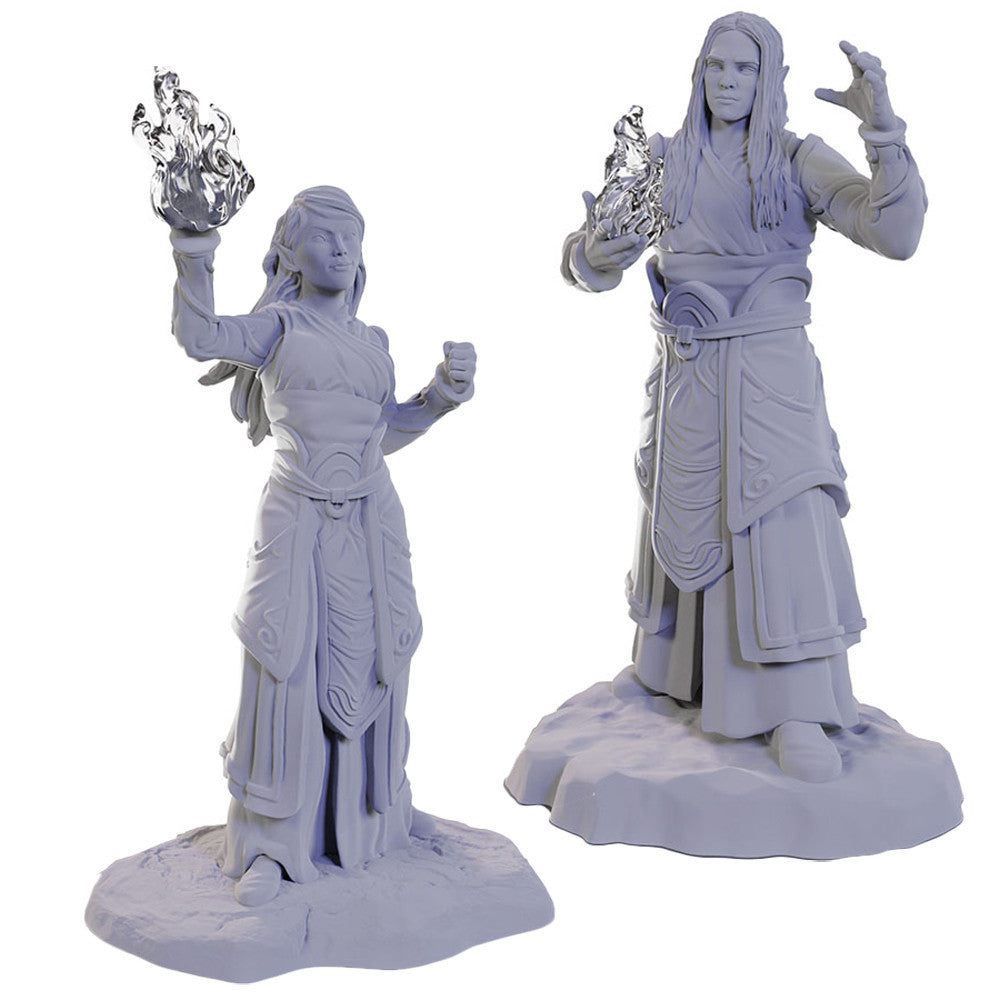 Nolzur's Marvelous Minatures: Elf Wizards