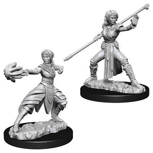 Nolzur's Marvelous Minatures: Half-Elf Monk Female