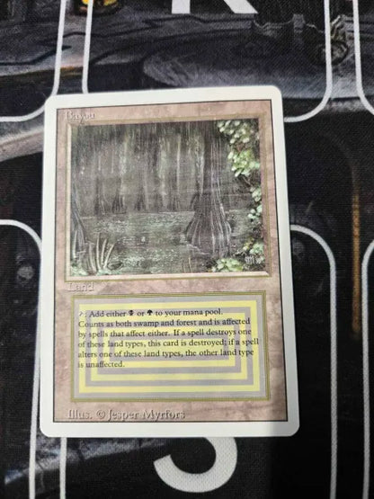 Scan #11 Bayou - Revised