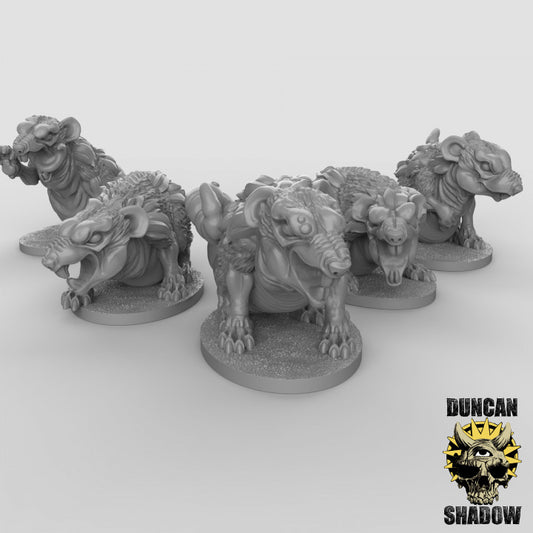 Duncan Shadow - Giant Rats 5-pack