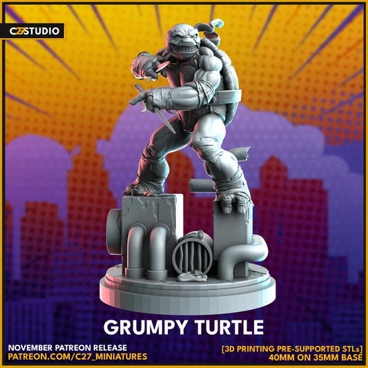C27 - Grumpy Turtle | Rafael