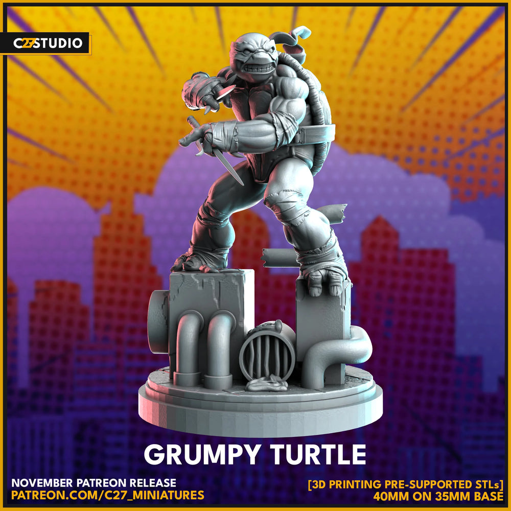 C27 - Grumpy Turtle | Rafael