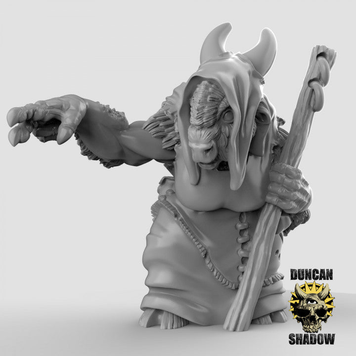 Duncan Shadow - Minotaur Shaman Version A