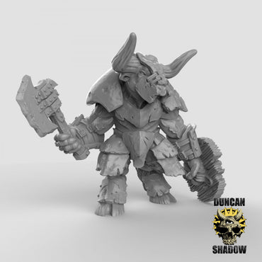 Duncan Shadow - Minotaur Warrior with axe and shield