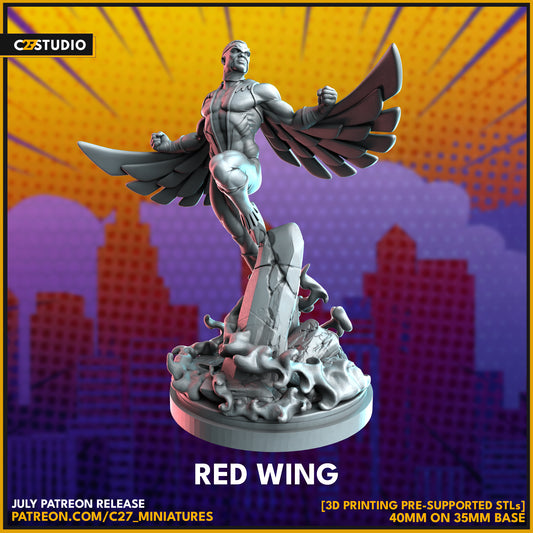 C27 - Red Wing