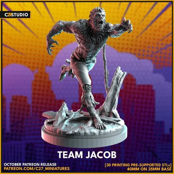 C27 - Team Jacob
