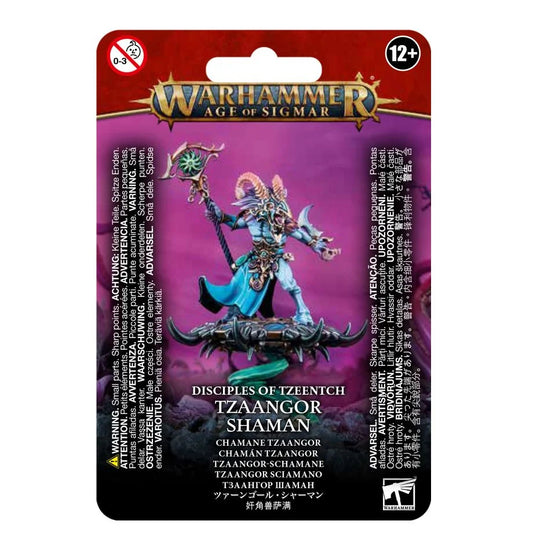 Disciples Of Tzeentch: Tzaangor Shaman