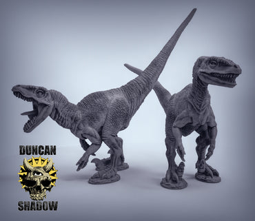 Duncan Shadow - Velociraptor 2-pack