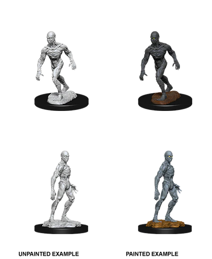 Wizkids: Doppleganger