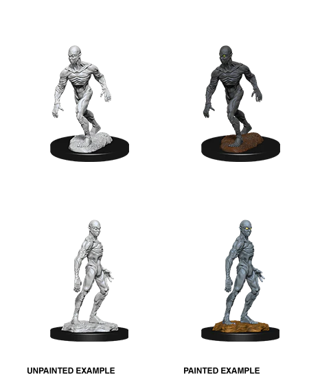 Wizkids: Doppleganger