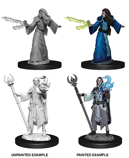 Wizkids: Elf Wizard