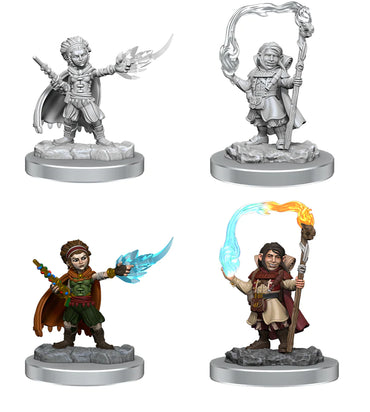 Wizkids: Halfling Wizards