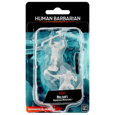 Wizkids: Human Barbarian