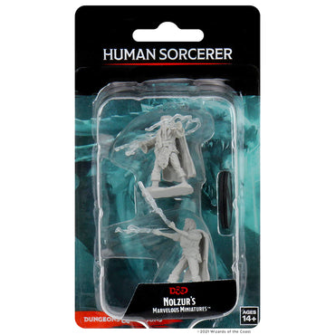 Wizkids: Human Sorcerer