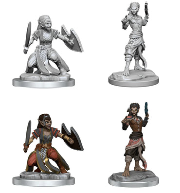 Wizkids: Shifter Fighter