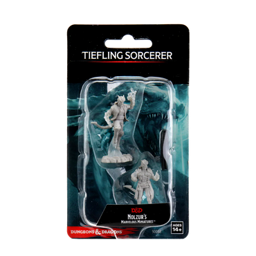 Wizkids: Tiefling Sorcerer