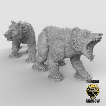 Duncan Shadow - Bear