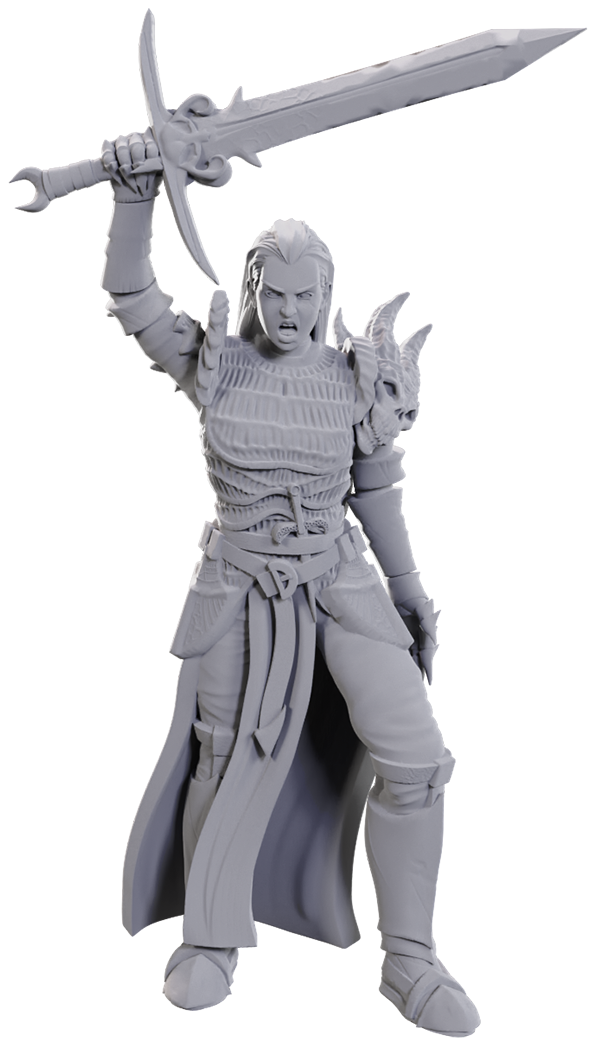 DND UNPAINTED MINIS WV25 BLACKGUARD