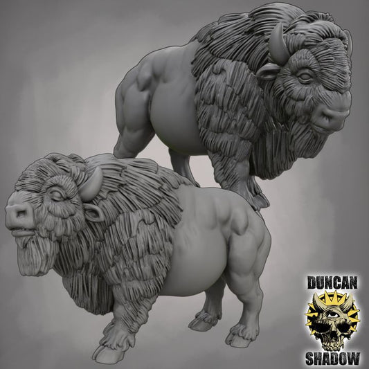 Duncan Shadow - American Buffalo 2-pack