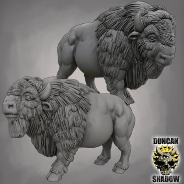 Duncan Shadow - American Buffalo 2-pack