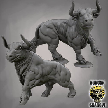 Duncan Shadow - Bulls 2-pack