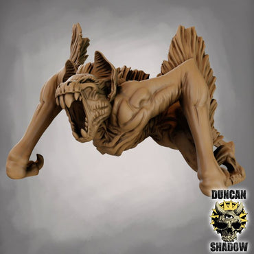 Duncan Shadow - Dire Bat