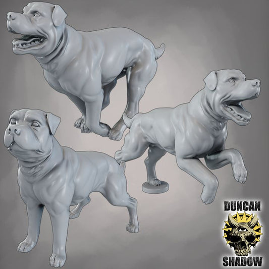 Duncan Shadow - Dog 3-pack
