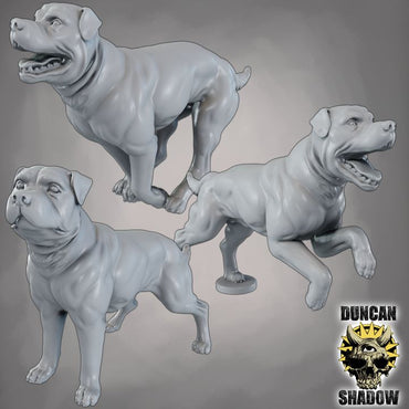 Duncan Shadow - Dog 3-pack