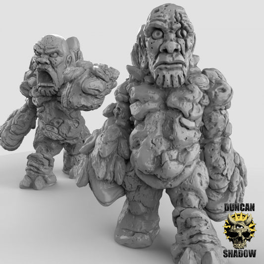 Duncan Shadow - Earth Golem