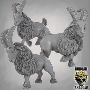 Duncan Shadow - Goat 3-pack