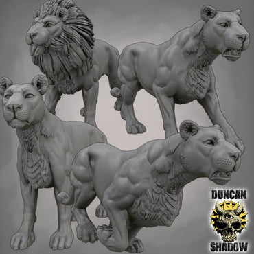 Duncan Shadow - Lion Pride 4-pack