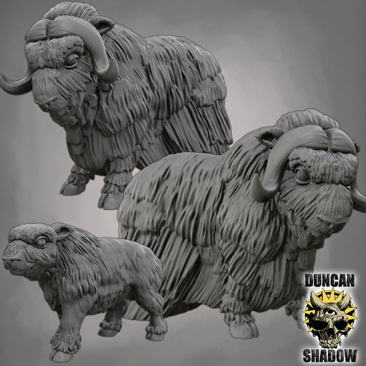 Duncan Shadow - Musk Ox 3-pack