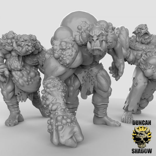 Duncan Shadow - Orc Nurtured Ones 3-pack