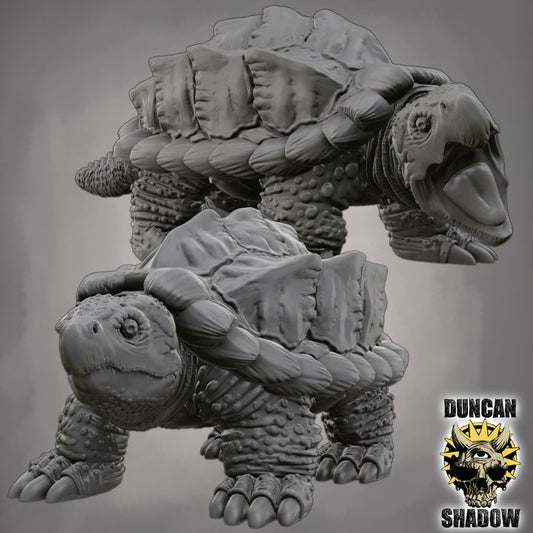 Duncan Shadow - Giant Snapping Turtle